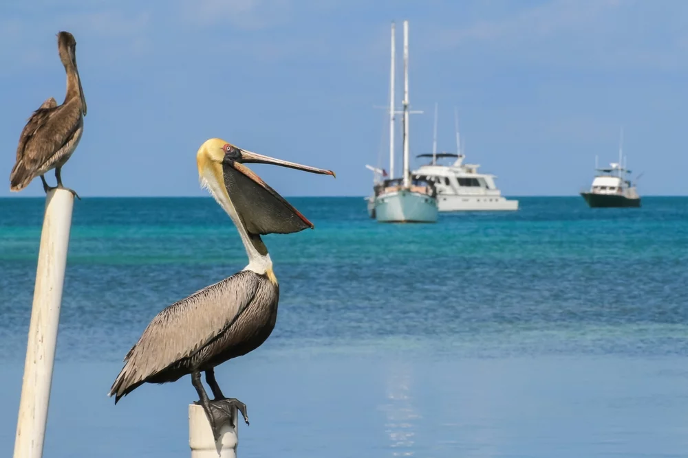 Hideaway Caye