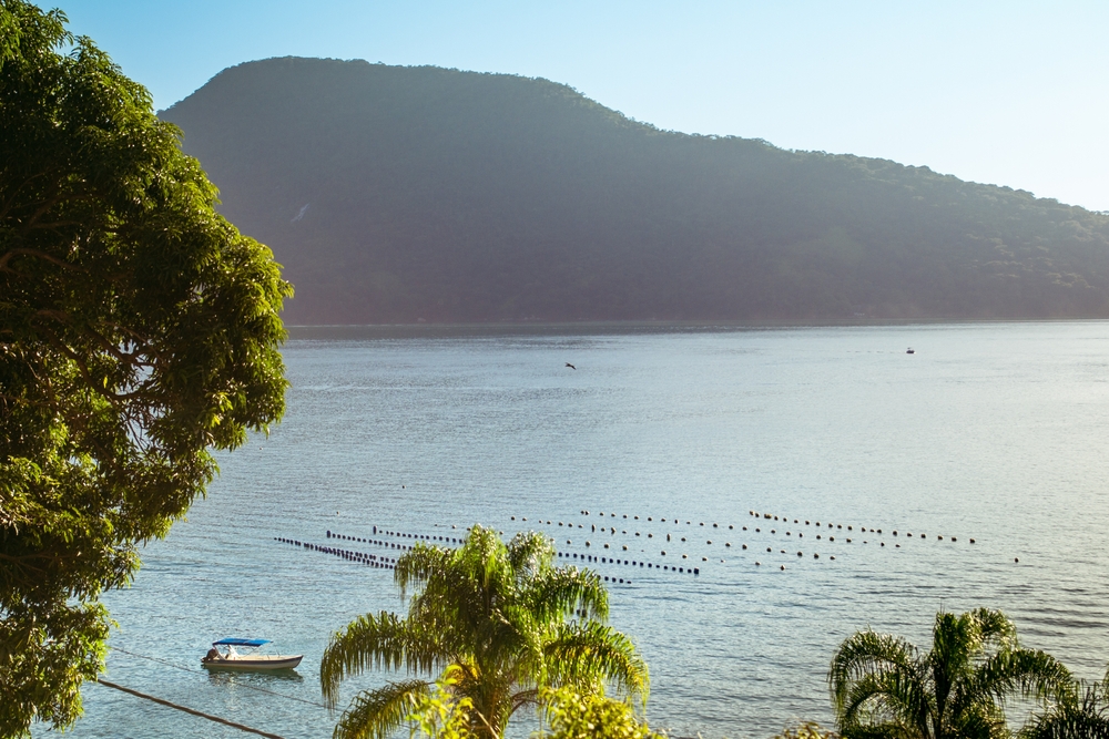 Sitio Forte