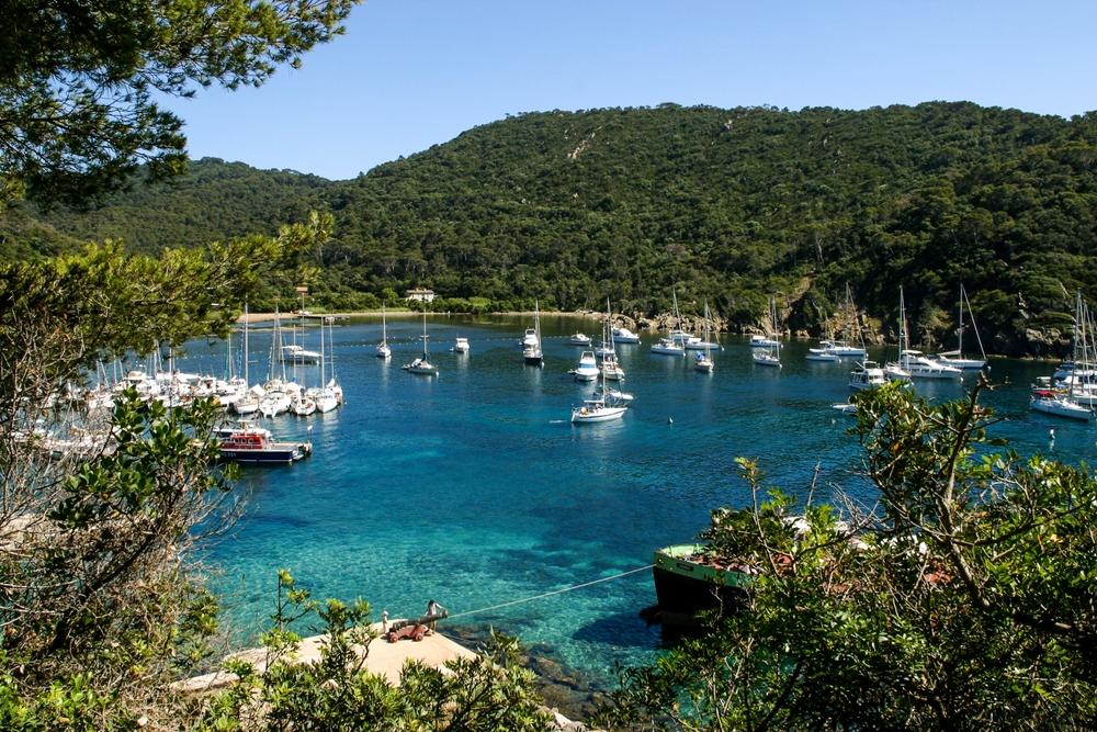 Île de Port Cros