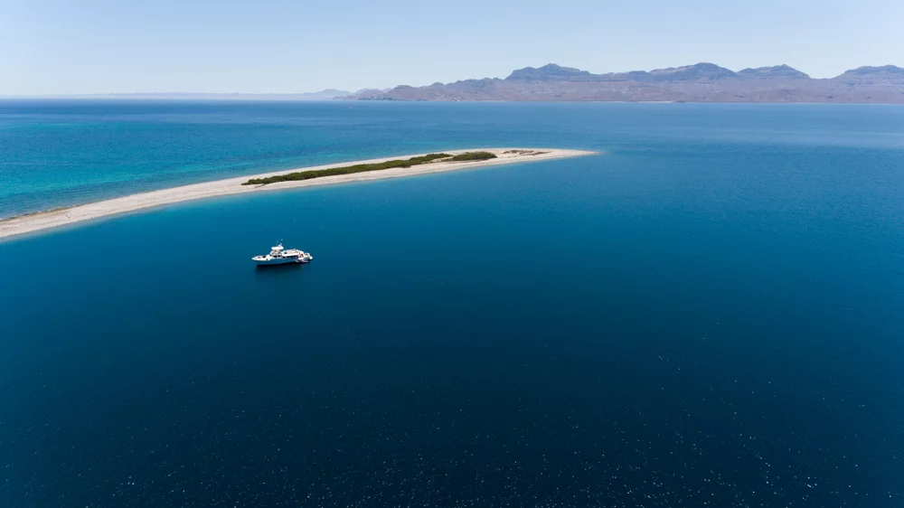 Isla San Jose