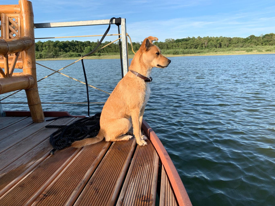 Photo #8 - Marina EldenburgParty & Badefloss (Tiki-Boat Nr. 19) in Waren - 186