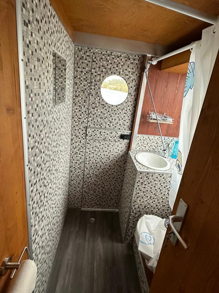 Photo #12 - TS1000-1 (Bijou | TS1000-1-2018 | Hausfloß 10.0) en Loitz - 1786