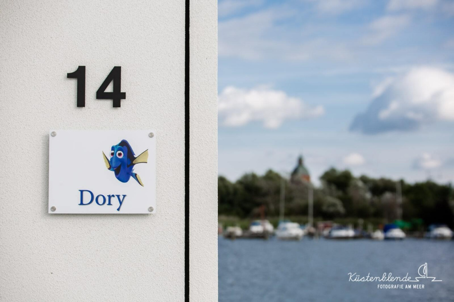 Photo #9 - FLOATING44-3 (Hausboot Dory) in Ribnitz - 2437