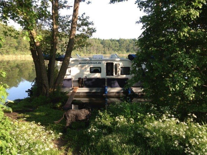Photo #47 - TechnusWater-Camper 1200 (Francis Drake) in Jabel - 2758