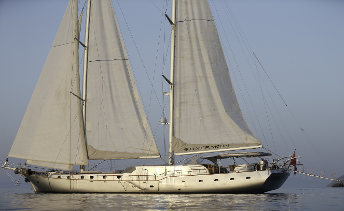 Photo #1 - 2010 (Silver Moon) in  - 2998