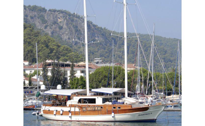 Photo #1 - 2011 (Albatros A) in  - 3009