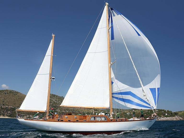 Paulena - 1