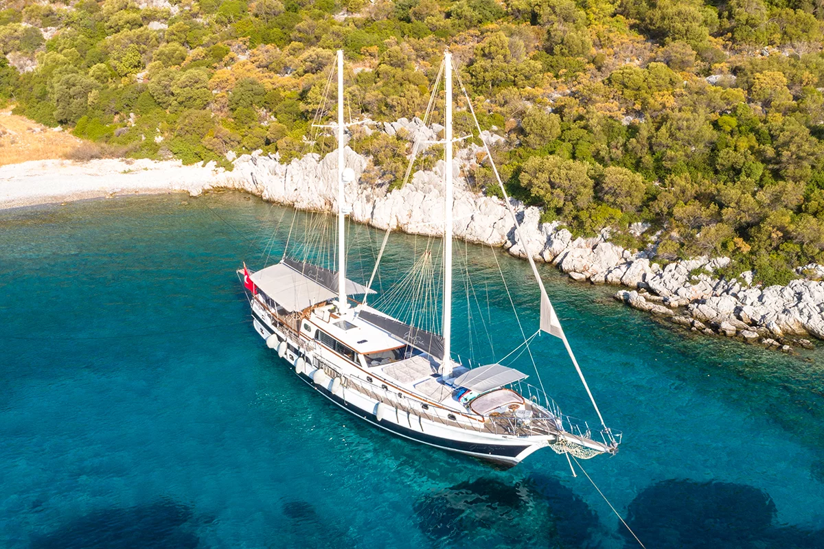 Motor Sailor (Grand Sailor)  - 0