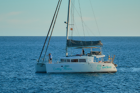 Photo #6 - Lagoon 450 (Papillon de Tenerife) in Tenerife - 3048