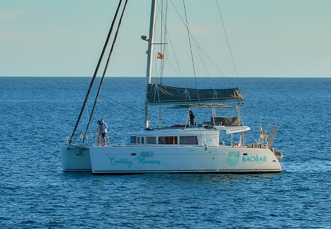 Photo #10 - Lagoon 450 (Papillon de Tenerife) en Tenerife - 3051