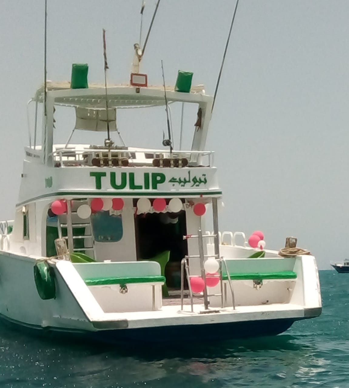 Photo #9 - Power boat (Tulip) in Hurghada - 3080