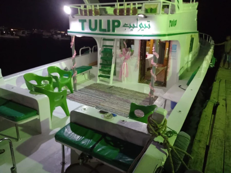 Power boat (Tulip)  - 9