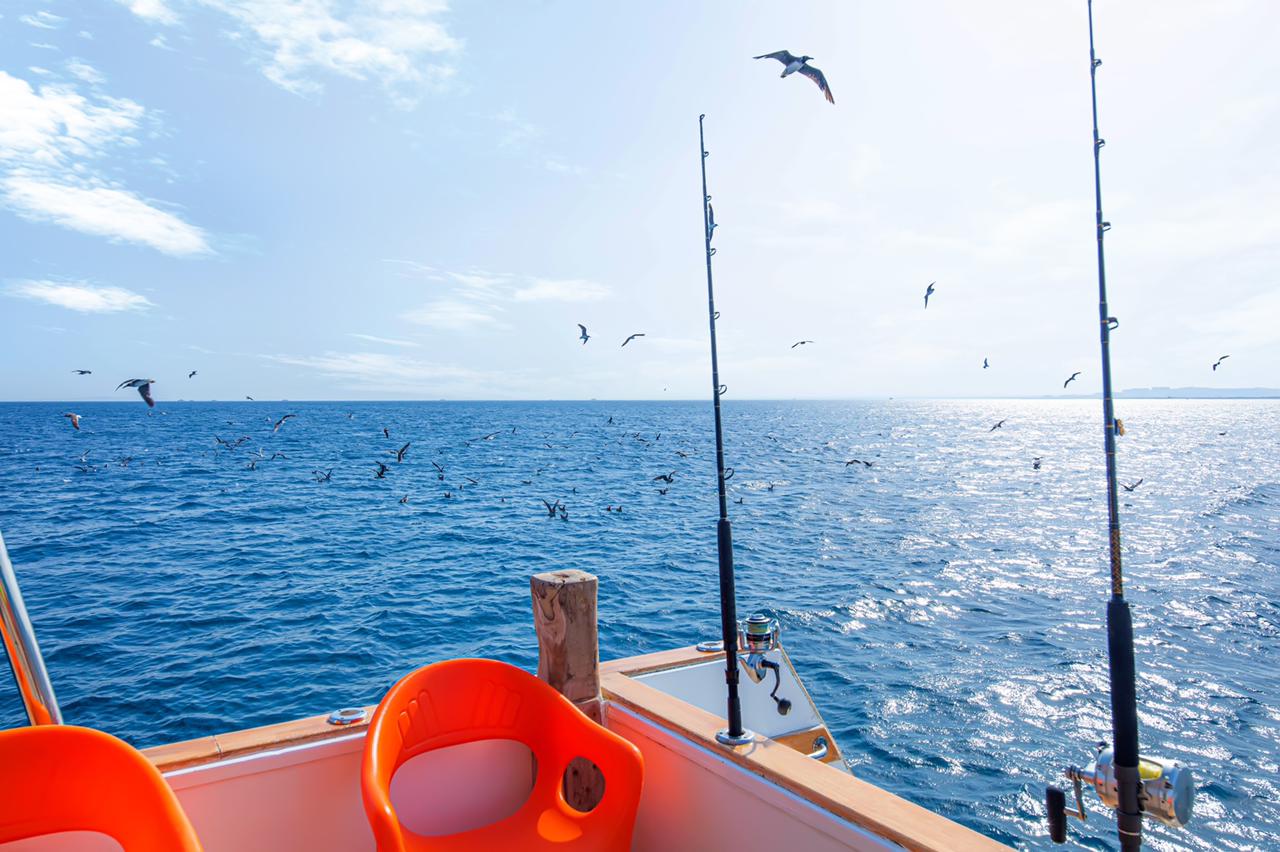 Photo #9 - Power boat (Wafaa) en Hurghada - 3082