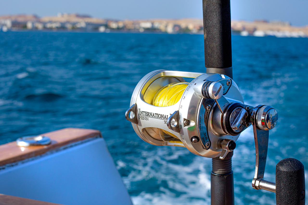 Photo #11 - Power boat (Wafaa) en Hurghada - 3082