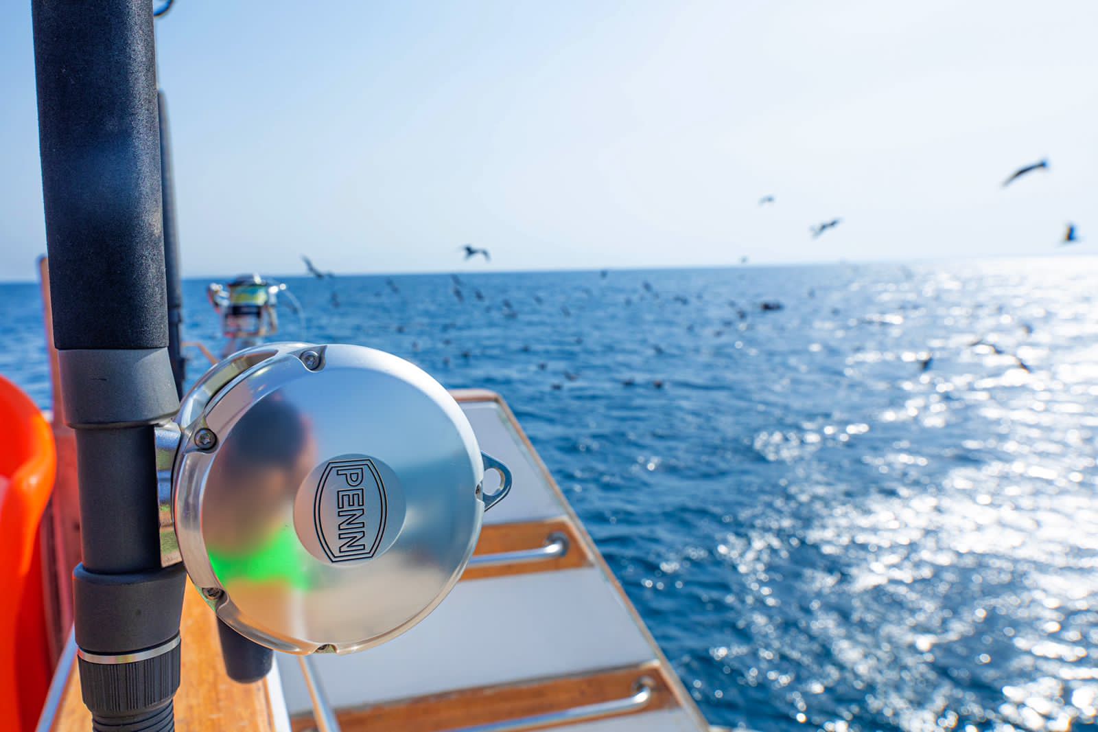Photo #12 - Power boat (Wafaa) en Hurghada - 3082
