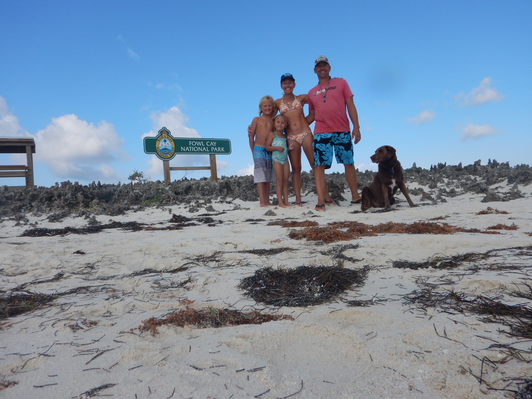 Photo #29 - Mason (Moxie) en Marsh Harbour - 3102