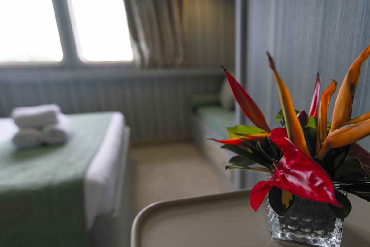 Photo #6 - Power catamaran (Pegasos) in Mahe - 3111