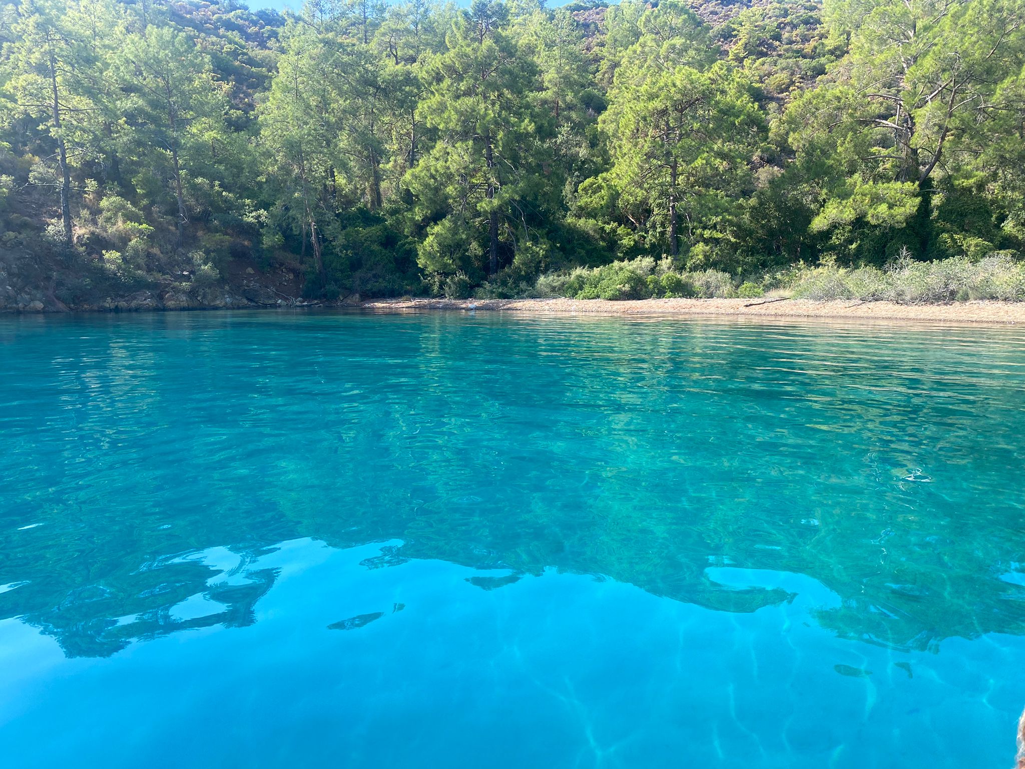 Photo #12 - Rodman 41 (Boreas) en Gocek - 3231