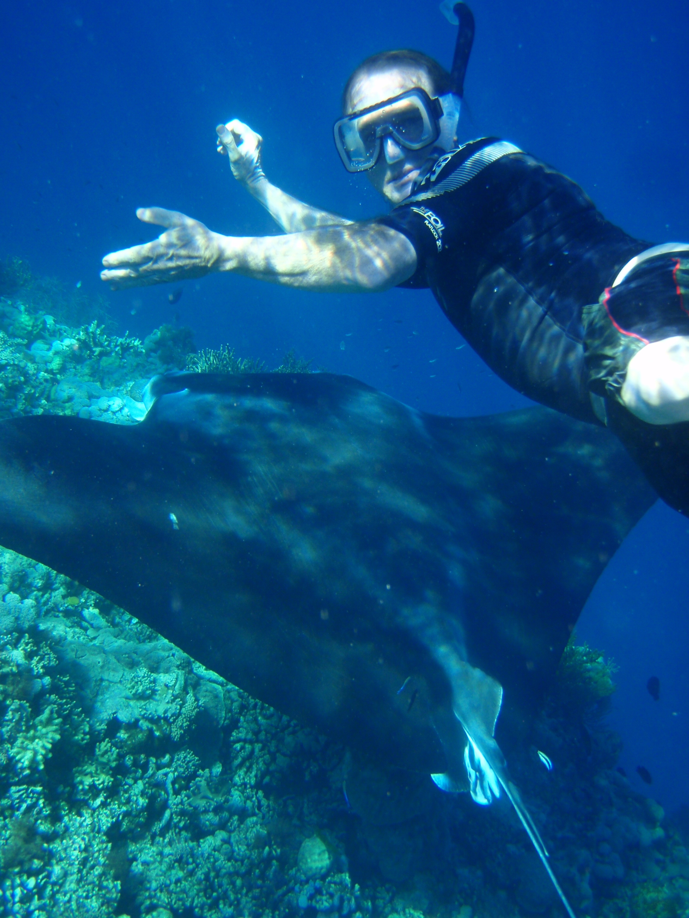 Photo #9 - Custom (Sydney Sundancer) en Hamilton Island - 3235