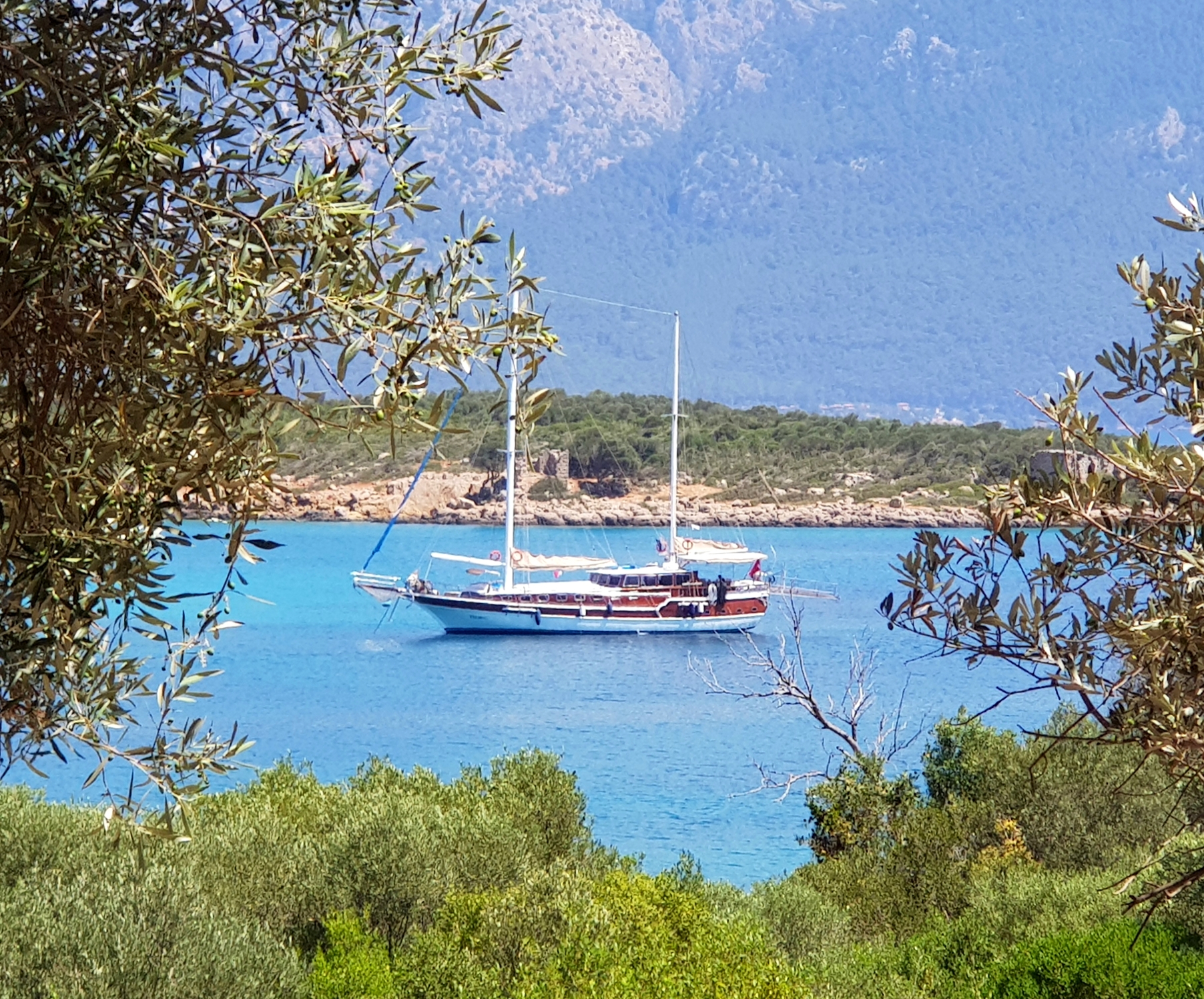 Photo #13 - Custom (Techne) in Bodrum - 3347