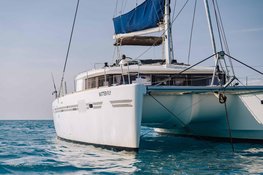 BUTTERFLY CATAMARAN - 1