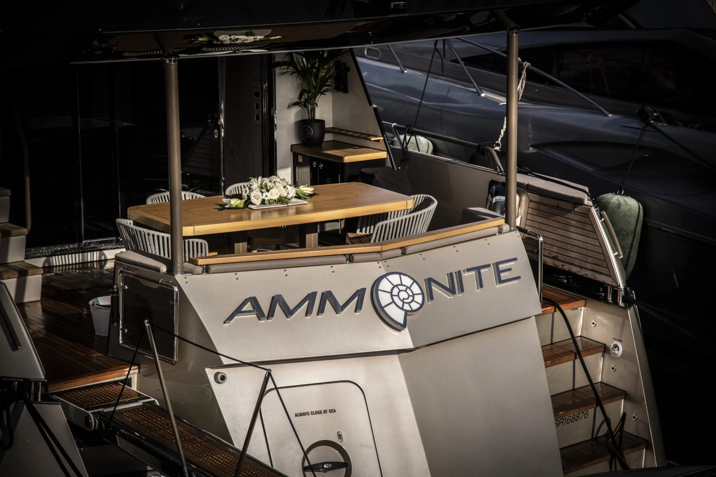 NUMARINE 78 (AMMONITE)  - 10