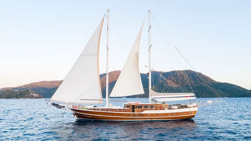 Custom-built (S Nur Taylan)  - 0