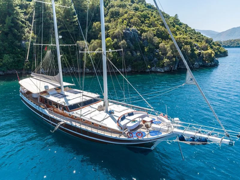 Custom-built (S Nur Taylan)  - 11
