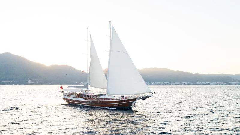Custom-built (S Nur Taylan)  - 12