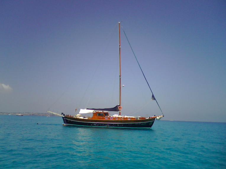 Photo #9 - Tirandil (Tirandila) in Eivissa - 3568