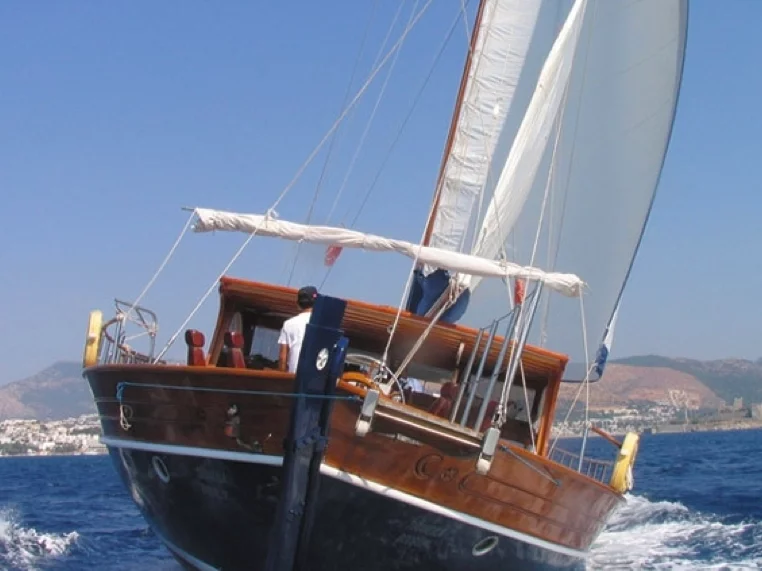 Tirandil (Tirandila)  - 9