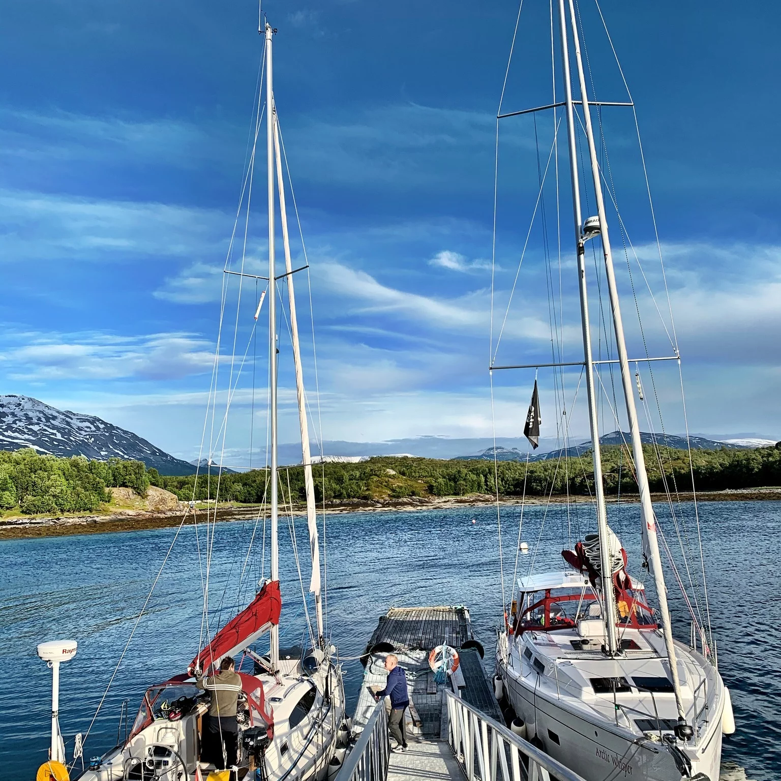 Hanse 458 (Arctic Whisper)  - 1