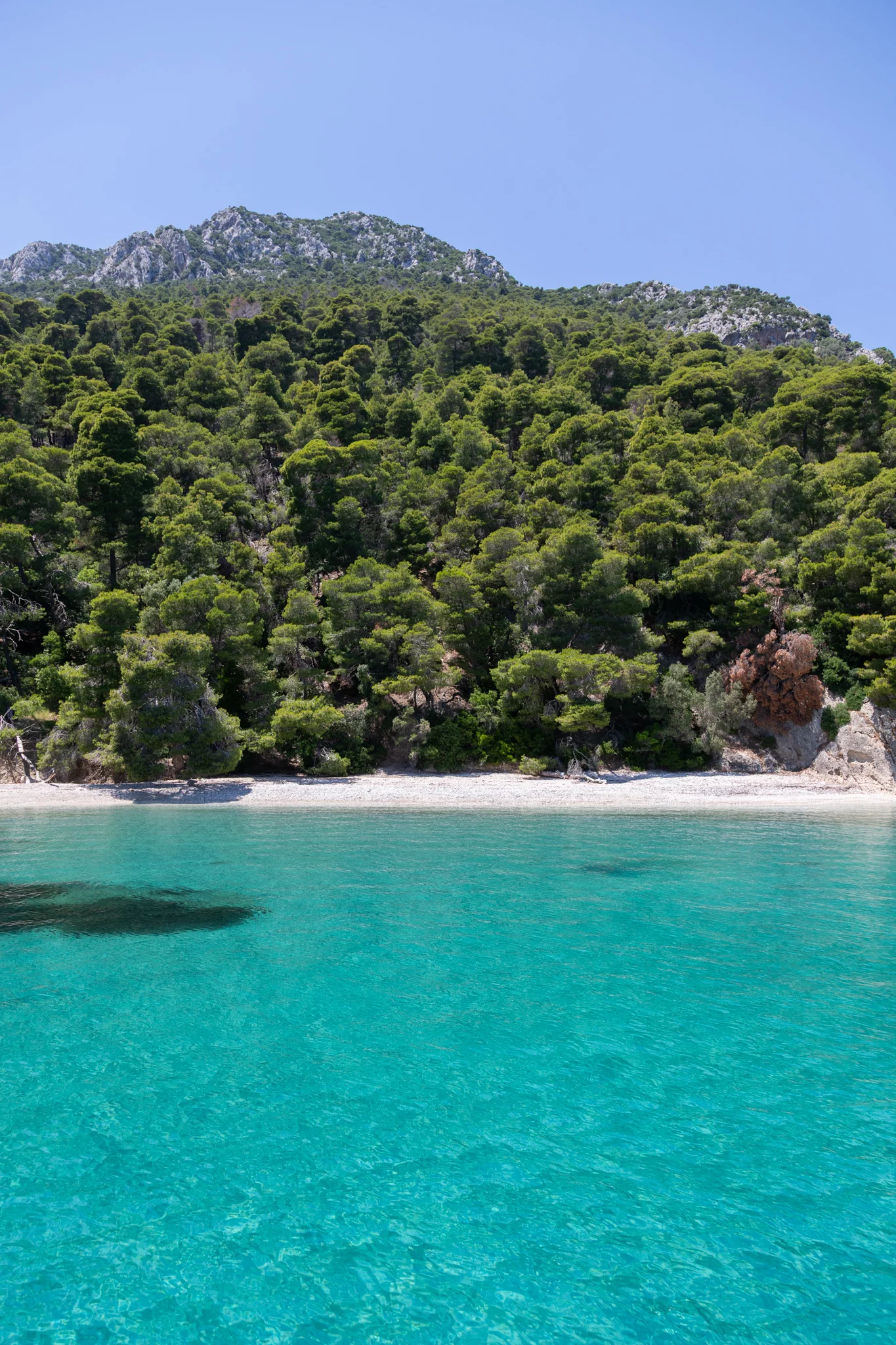 Lagoon 51 (ARANEL)  - 60