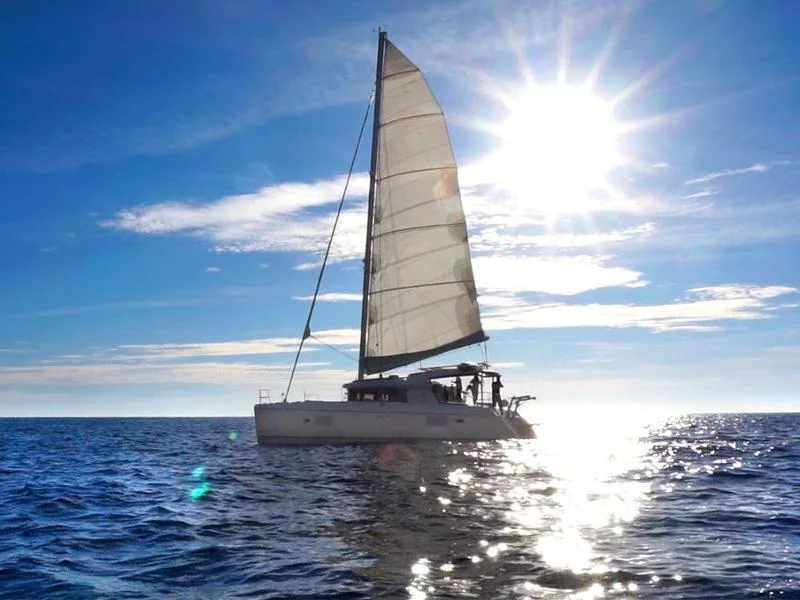 Lagoon 421 (Nirvana AC Watermaker Gen + elegant pack refit 2022)  - 7