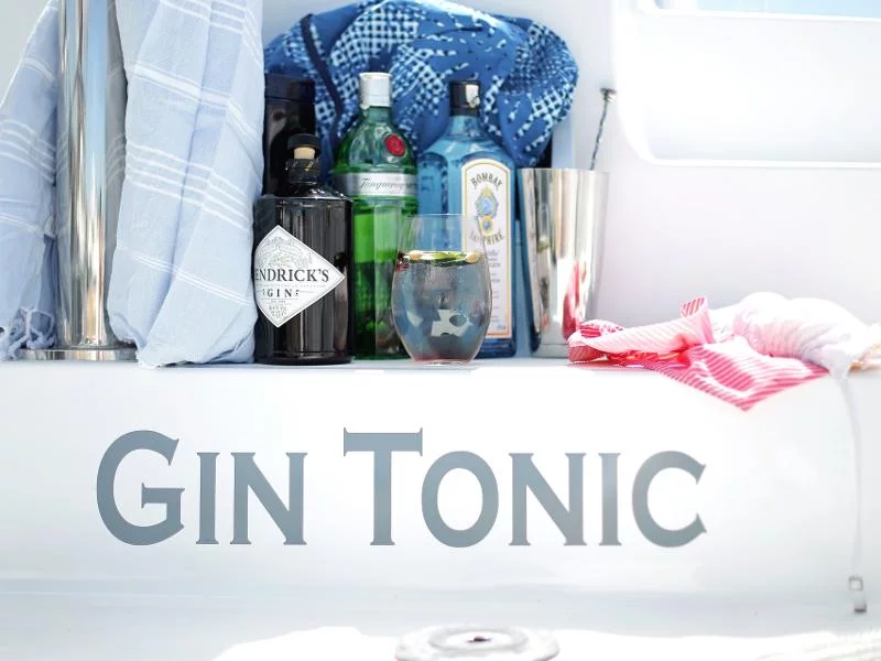 Lagoon 39 (GIN TONIC)  - 4