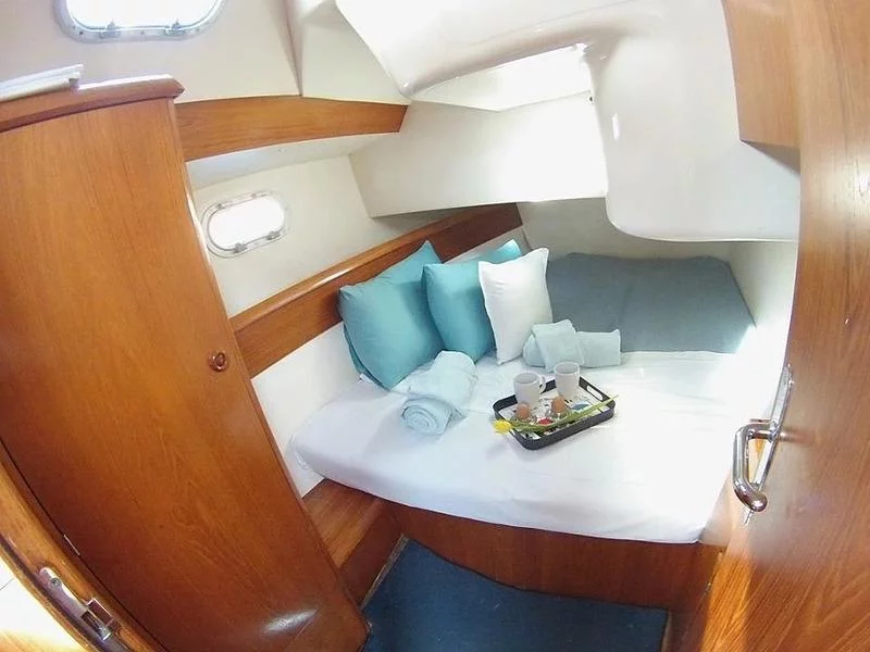 Sun Odyssey 36.2 (Pythagoras (electric head, wind ))  - 1