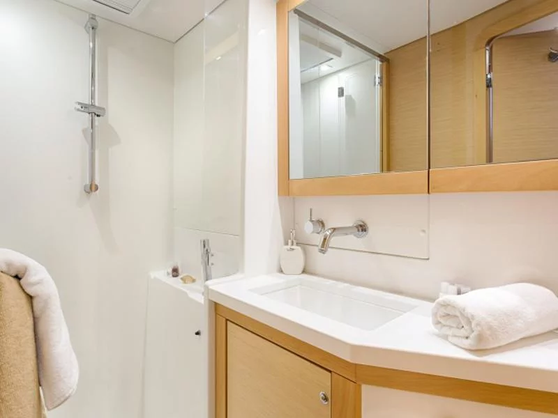 Lagoon 450 F Luxury (BRIGHT MOON)  - 2