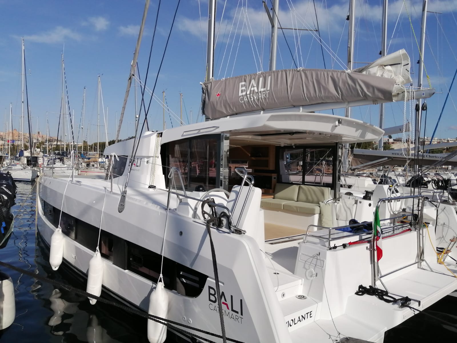 Photo #23 - Bali Catsmart (Violante) en Cagliari - 22754