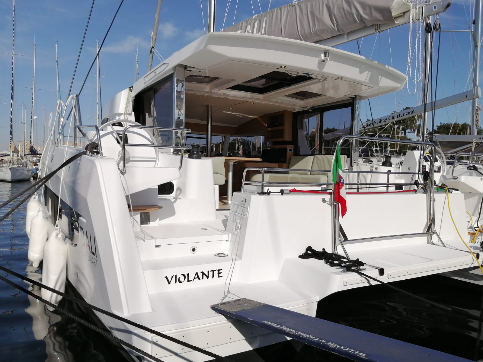 Photo #20 - Bali Catsmart (Violante) en Cagliari - 22754