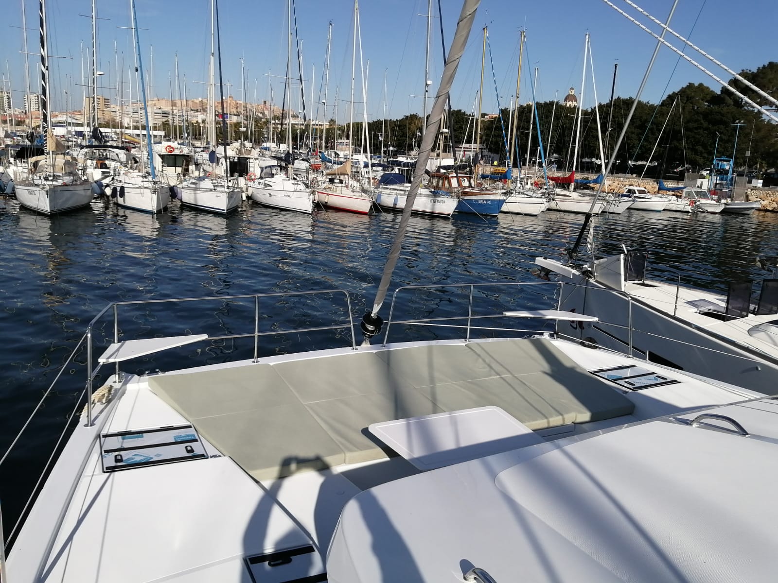 Photo #10 - Bali Catsmart (Violante) en Cagliari - 22754
