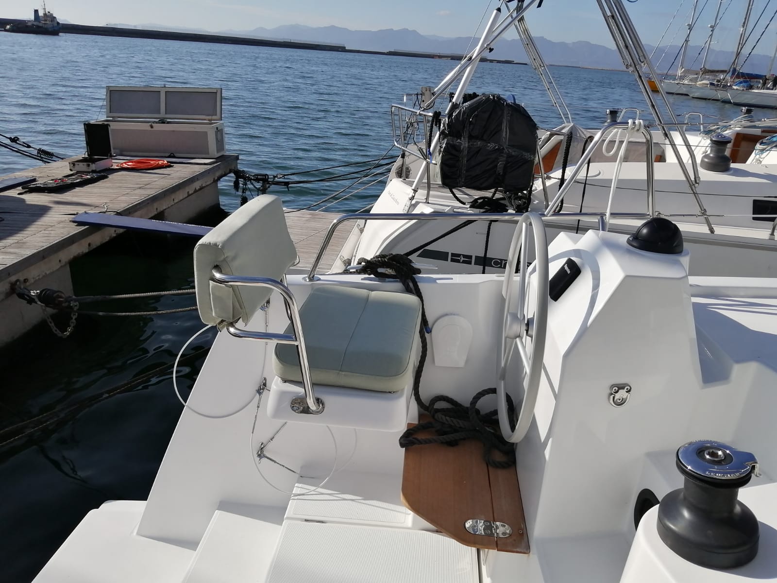 Photo #14 - Bali Catsmart (Violante) en Cagliari - 22754