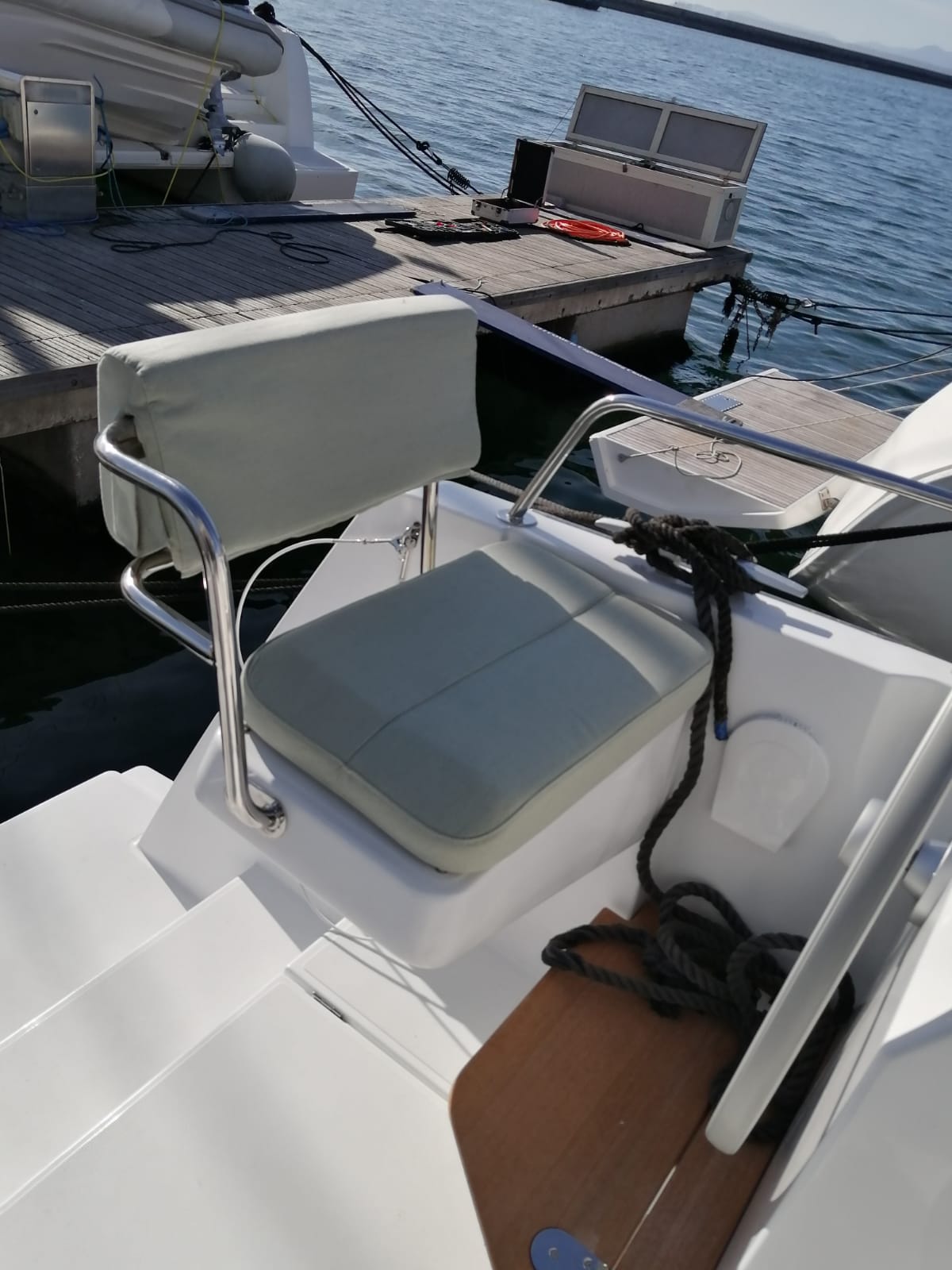 Photo #29 - Bali Catsmart (Violante) en Cagliari - 22754