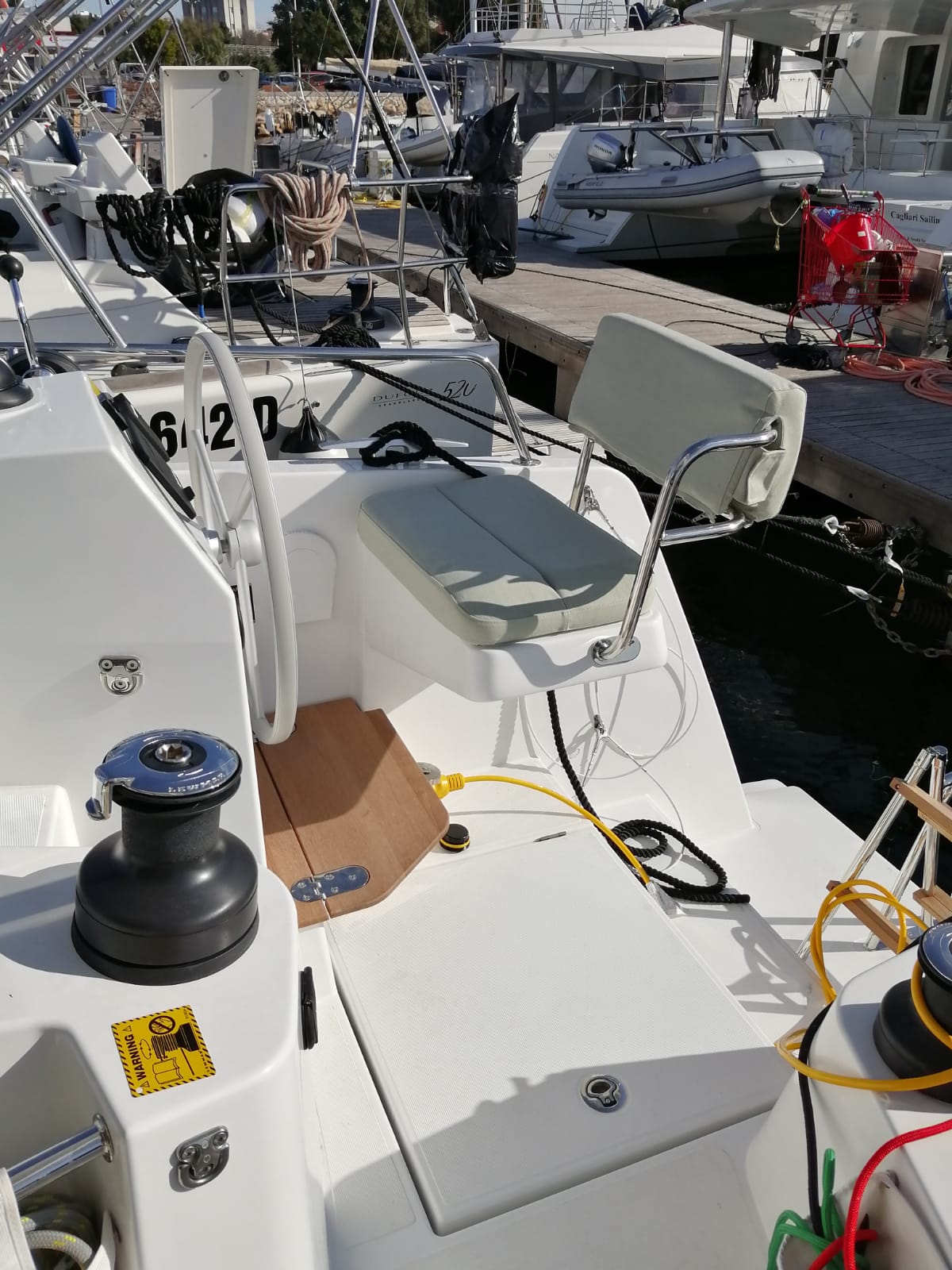 Photo #2 - Bali Catsmart (Violante) en Cagliari - 22754