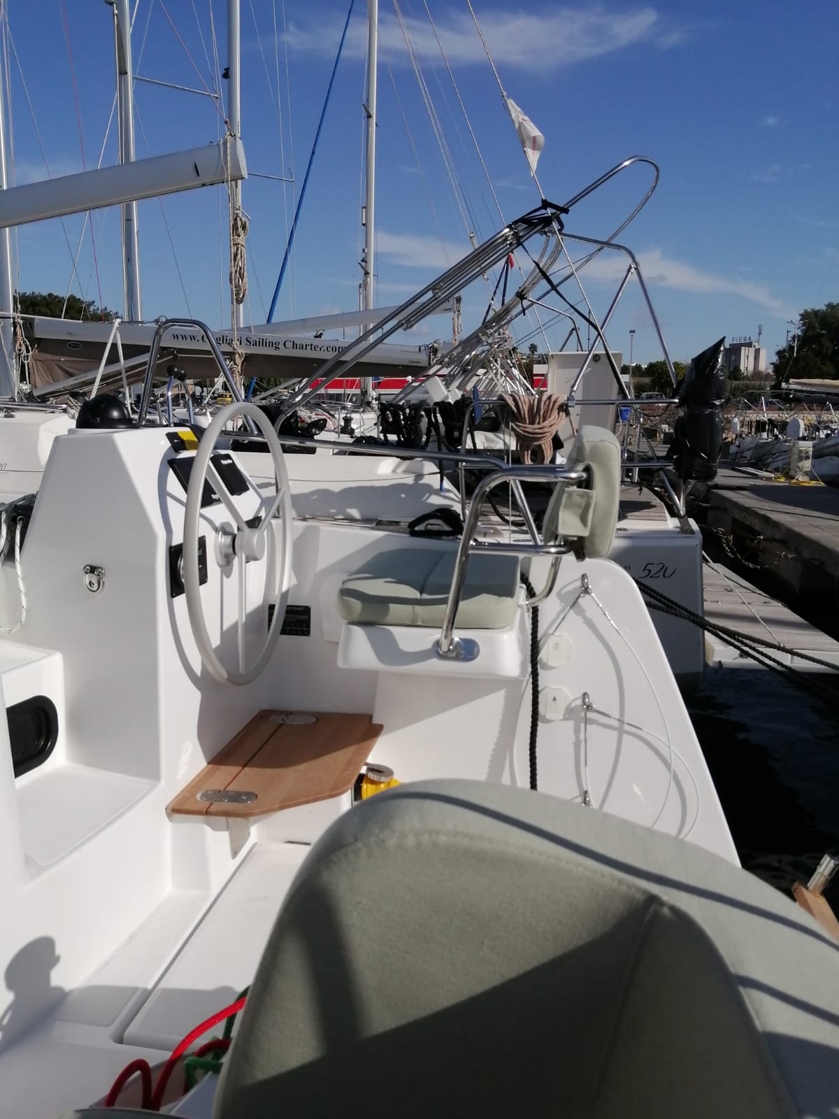 Photo #6 - Bali Catsmart (Violante) en Cagliari - 22754