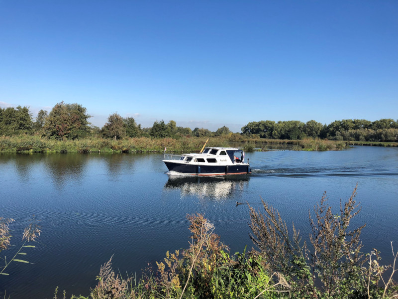 Photo #11 - Pedro 800 (Australis) in Friezenwijk - 9255