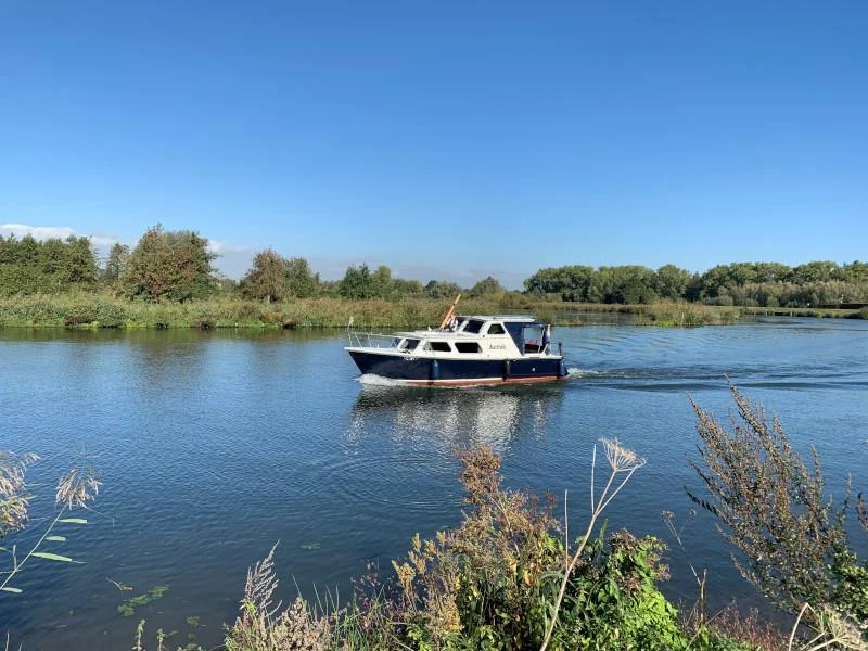 Pedro 800 (Australis)  - 2
