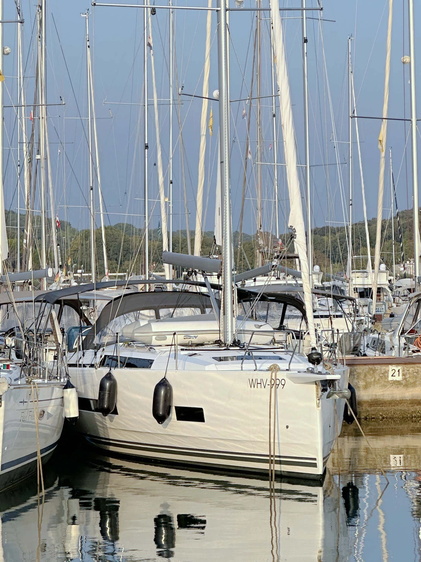 Hanse 460 (Freebe)  - 3
