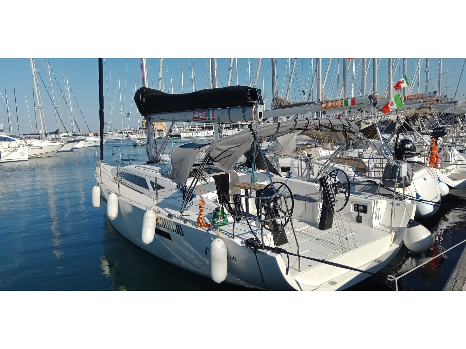 Photo #1 - More 40 (sc) (Black Widow) en Scarlino - 9690