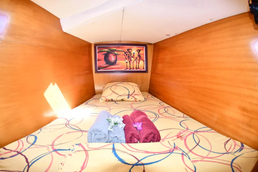 Lagoon 380 (BALAO) Cabine AV - 11