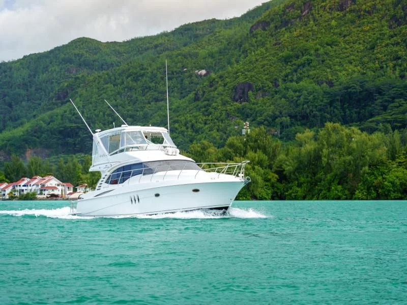 Silverton Ovation 52 (Life of Riley)  - 5